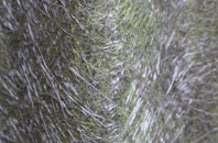 Middleton On The Hill fibreglass roof work